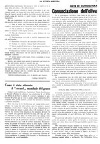 giornale/CFI0410531/1934/unico/00000015