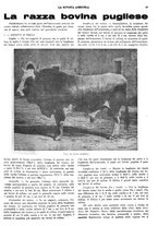 giornale/CFI0410531/1934/unico/00000053