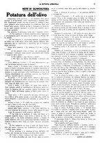 giornale/CFI0410531/1934/unico/00000055
