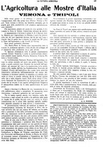 giornale/CFI0410531/1934/unico/00000111
