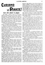 giornale/CFI0410531/1934/unico/00000221