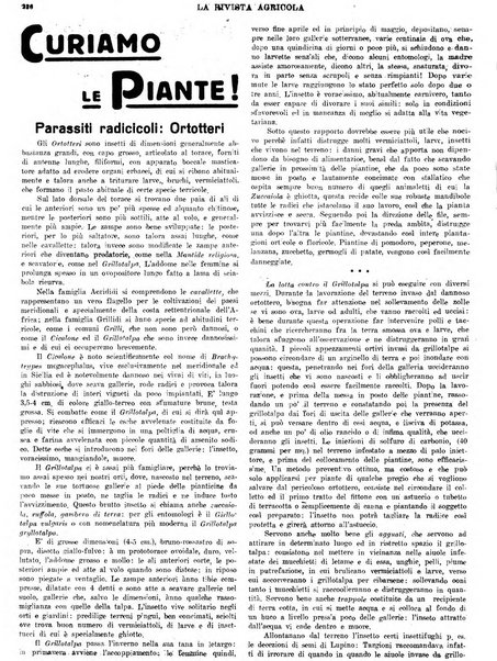 La rivista agricola industriale finanziaria commerciale