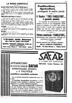 giornale/CFI0410531/1934/unico/00000245