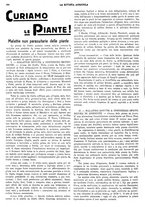 giornale/CFI0410531/1934/unico/00000260