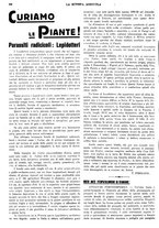 giornale/CFI0410531/1934/unico/00000300