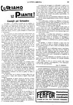 giornale/CFI0410531/1934/unico/00000341