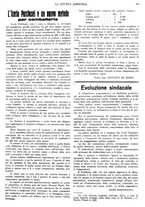 giornale/CFI0410531/1934/unico/00000451