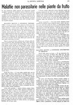 giornale/CFI0410531/1934/unico/00000469