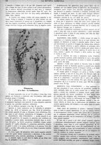 giornale/CFI0410531/1935/unico/00000114