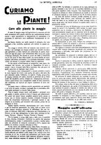 giornale/CFI0410531/1935/unico/00000181