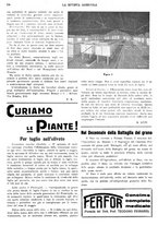 giornale/CFI0410531/1935/unico/00000280