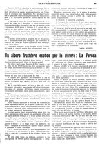 giornale/CFI0410531/1935/unico/00000299