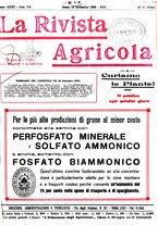 giornale/CFI0410531/1935/unico/00000349