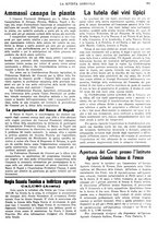 giornale/CFI0410531/1935/unico/00000359