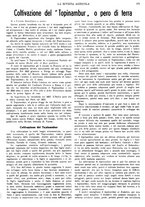 giornale/CFI0410531/1935/unico/00000377