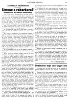 giornale/CFI0410531/1935/unico/00000417