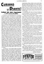 giornale/CFI0410531/1935/unico/00000439