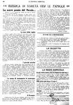 giornale/CFI0410531/1935/unico/00000484