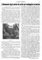 giornale/CFI0410531/1936/unico/00000161