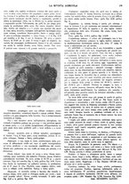 giornale/CFI0410531/1936/unico/00000177