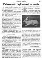 giornale/CFI0410531/1936/unico/00000207