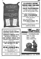 giornale/CFI0410531/1936/unico/00000216