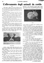 giornale/CFI0410531/1936/unico/00000242
