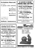 giornale/CFI0410531/1936/unico/00000328