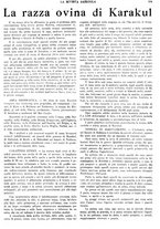 giornale/CFI0410531/1936/unico/00000383