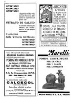 giornale/CFI0410531/1937/unico/00000020