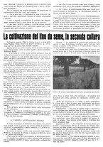 giornale/CFI0410531/1937/unico/00000027