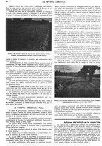 giornale/CFI0410531/1937/unico/00000028