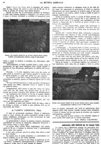 giornale/CFI0410531/1937/unico/00000028