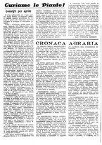 giornale/CFI0410531/1937/unico/00000110