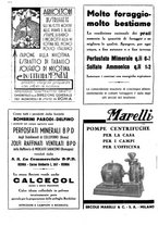 giornale/CFI0410531/1937/unico/00000376