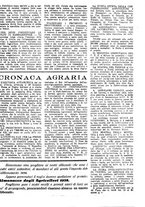 giornale/CFI0410531/1938/unico/00000017