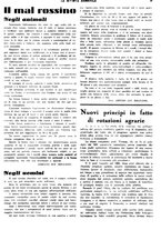 giornale/CFI0410531/1938/unico/00000029