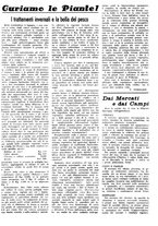 giornale/CFI0410531/1938/unico/00000031