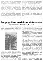 giornale/CFI0410531/1938/unico/00000044