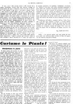 giornale/CFI0410531/1938/unico/00000061