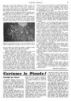 giornale/CFI0410531/1938/unico/00000079