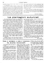 giornale/CFI0410531/1938/unico/00000306