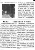 giornale/CFI0410531/1938/unico/00000384