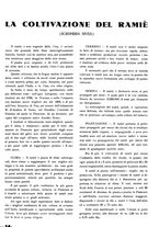 giornale/CFI0410727/1935/unico/00000188