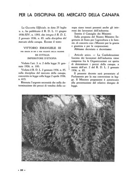 La canapa bollettino del consorzio industriali canapieri dei consorzi per la canapa