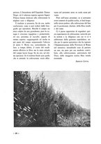 giornale/CFI0410727/1936/unico/00000276