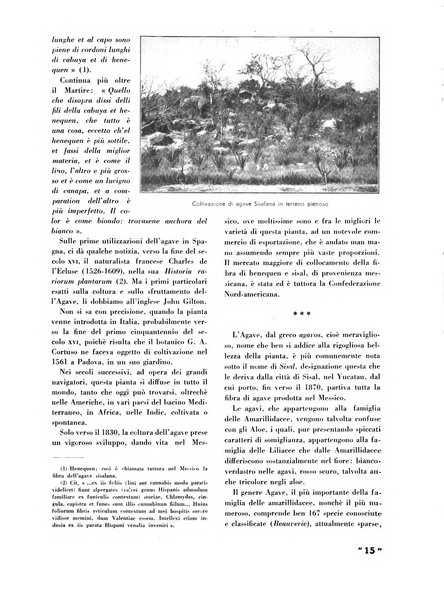 La canapa bollettino del consorzio industriali canapieri dei consorzi per la canapa