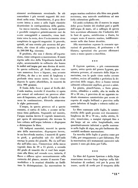 La canapa bollettino del consorzio industriali canapieri dei consorzi per la canapa