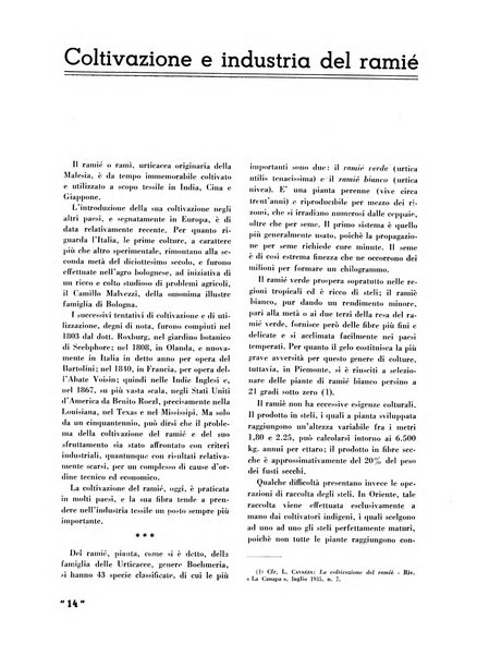 La canapa bollettino del consorzio industriali canapieri dei consorzi per la canapa