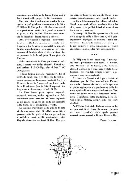 La canapa bollettino del consorzio industriali canapieri dei consorzi per la canapa